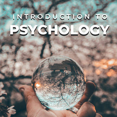 بهترین روانشناس در کرج